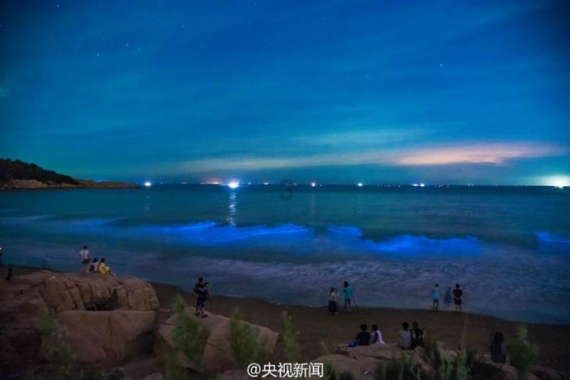为不具备资质的车商谋取不当利益,盛大在线宁波分公司合计被罚37万元