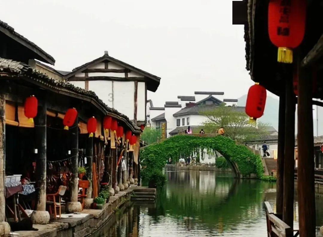 围绕家乡特点，做优做足特色产业